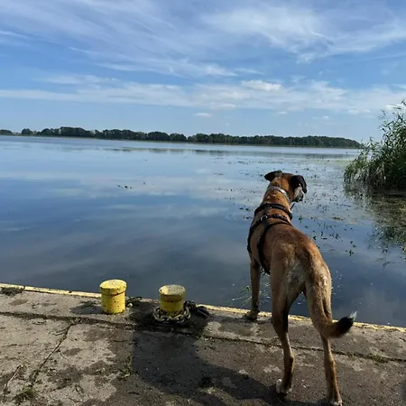 Baltica Polnische Ostsee Mit Jakuzzi 2 Meter Hoher Zaun Haustiere Herzlich Willkommen Ferienhaus