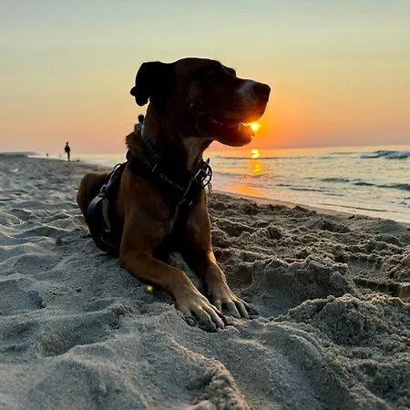 Ferienhaus Baltica Polnische Ostsee Mit Jakuzzi 2 Meter Hoher Zaun Haustiere Herzlich Willkommen
